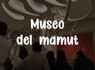 museo del mamut