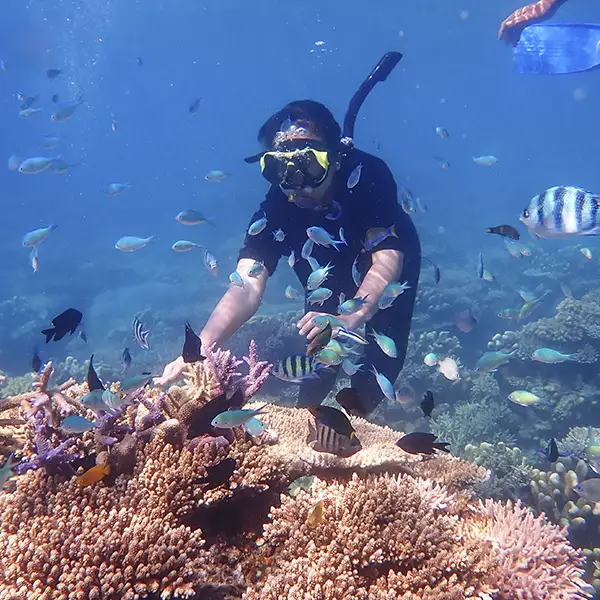 Snorkel en Cancún